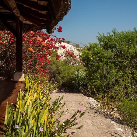 Demeure De La Compagnie Generale Des Huiles Precieuses Bed and Breakfast Ifaty Εξωτερικό φωτογραφία
