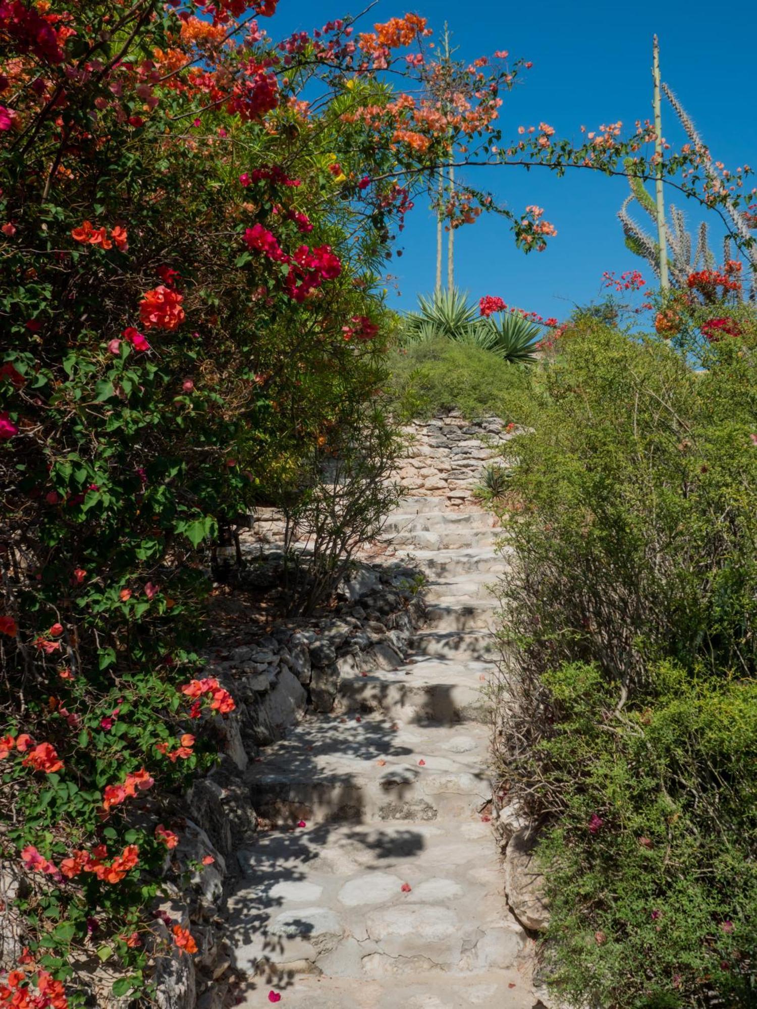 Demeure De La Compagnie Generale Des Huiles Precieuses Bed and Breakfast Ifaty Εξωτερικό φωτογραφία