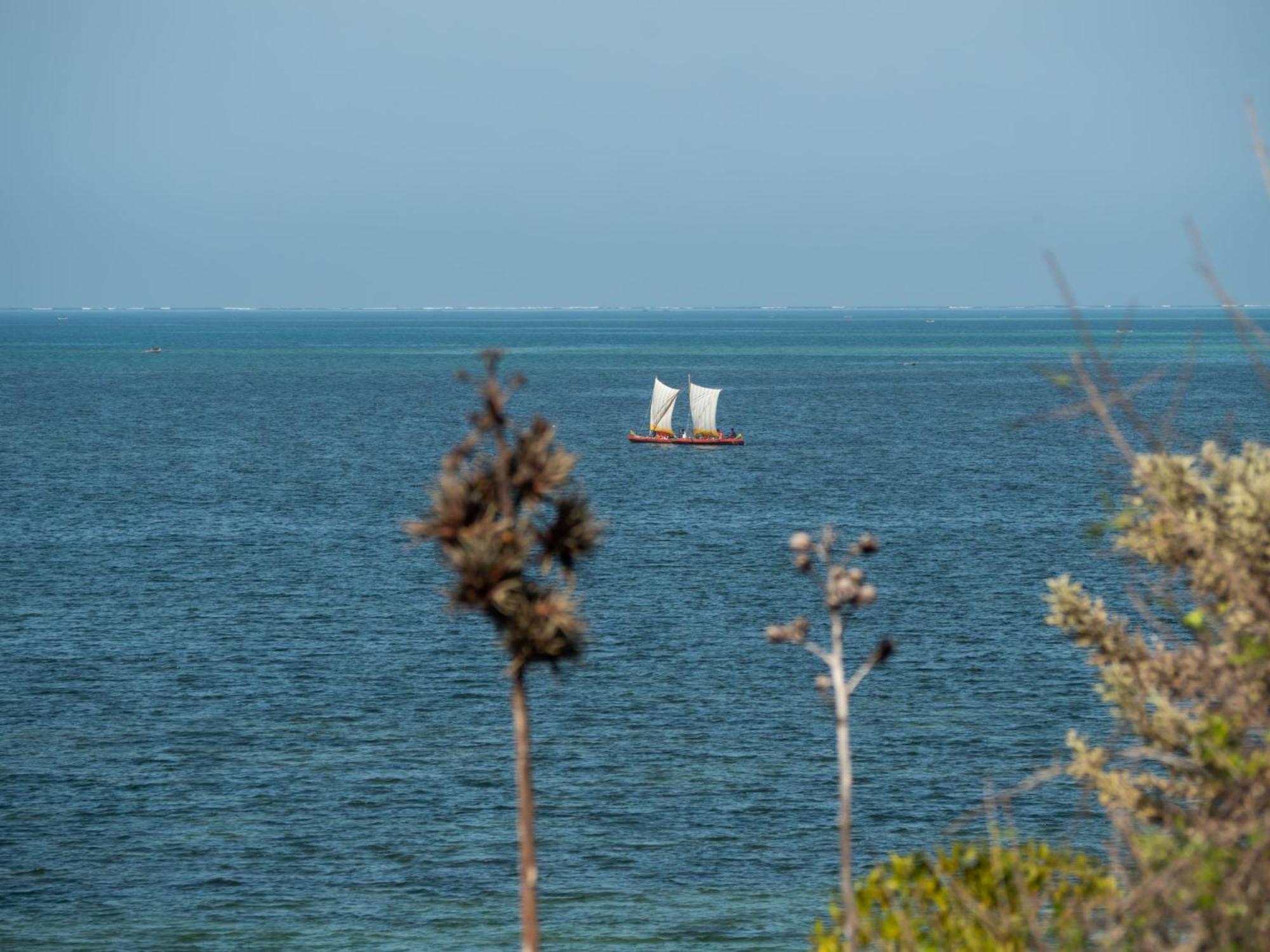 Demeure De La Compagnie Generale Des Huiles Precieuses Bed and Breakfast Ifaty Εξωτερικό φωτογραφία